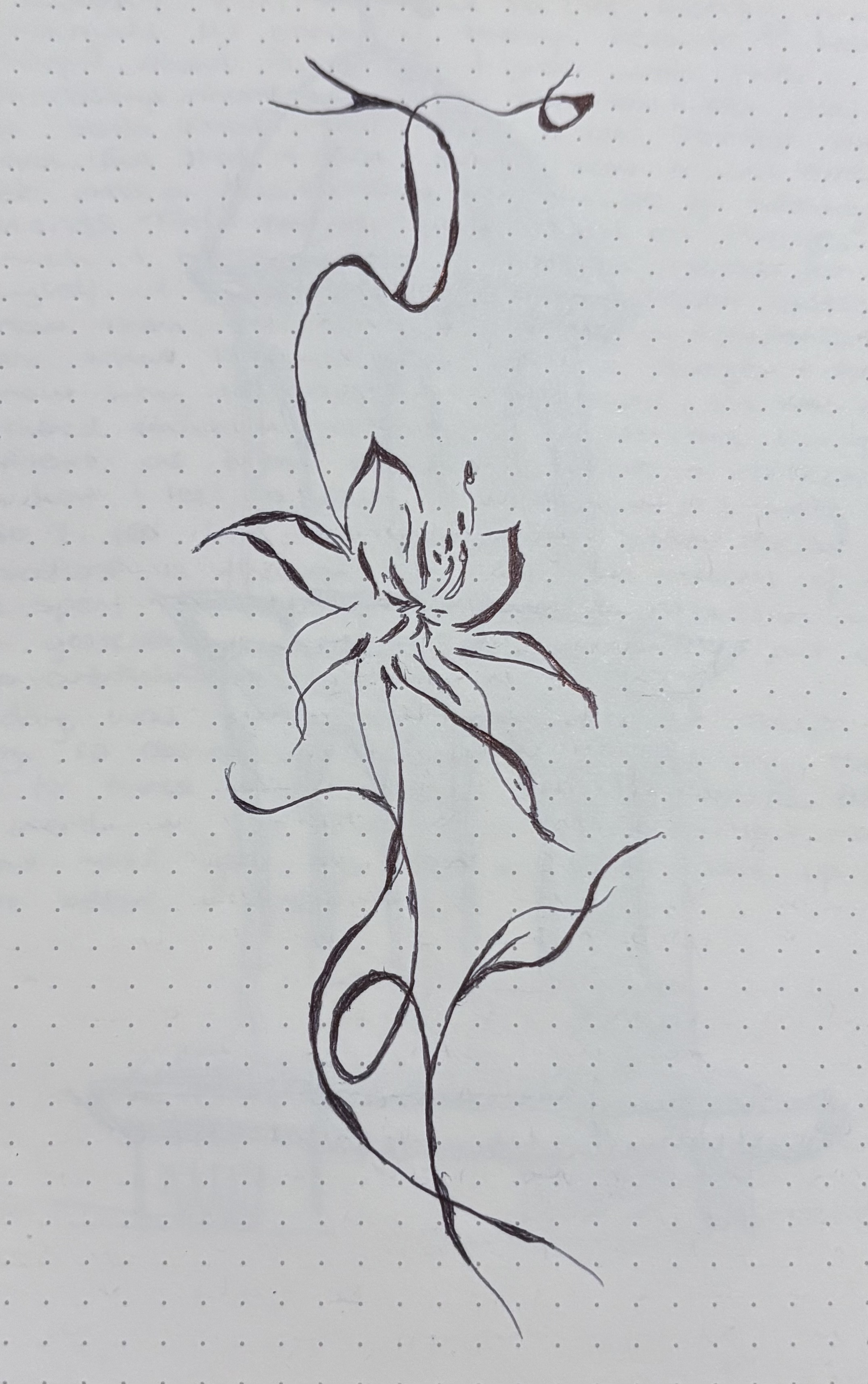 swirls